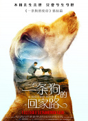 王者剑侠攻略：新手必备的十个技巧与建议